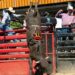 Campeonato com ‘robô cowboy’ será uma das atrações do CLC no fim de semana