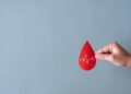 Dia Mundial da Hemofilia: Veja mitos e verdades dessa doença que acomete a coagulação