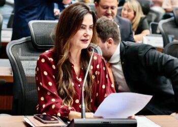 Para evitar acidentes, deputada solicita recuperação asfáltica da MS-145