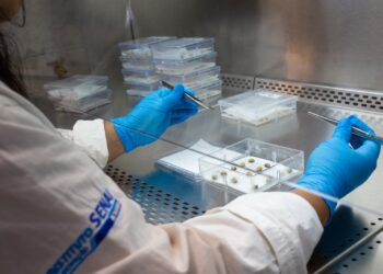 ISI Biomassa participa de desenvolvimento de plataforma para criação biodefensivos sustentáveis