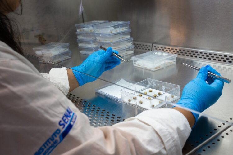 ISI Biomassa participa de desenvolvimento de plataforma para criação biodefensivos sustentáveis