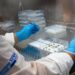 ISI Biomassa participa de desenvolvimento de plataforma para criação biodefensivos sustentáveis