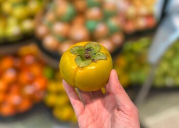 Apostar em frutas e legumes típicos do outono pode melhorar imunidade e ajudar a economizar