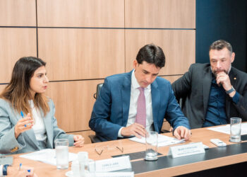 Camila Jara participa de reunião sobre plano nacional de transporte aéreo de animais