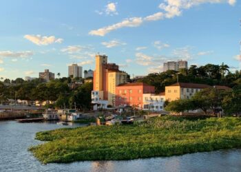 Moinho Cultural lança campanha para doação via Imposto de Renda