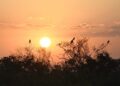 Em sábado de sol, ventos intensificam ar quente e seco em Mato Grosso do Sul