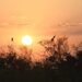 Em sábado de sol, ventos intensificam ar quente e seco em Mato Grosso do Sul
