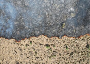 Lançado em 2023, SIFAU auxilia MS na identificação de áreas para queima prescrita