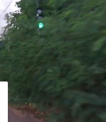 VÍDEO: Mato alto dificulta visão de semáforo antes de curva no Morumbi e põe em risco motoristas