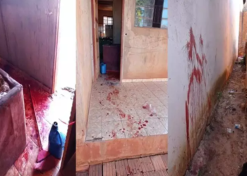 Homem mata mulher a golpes de faca e esfaqueia outra acreditando que teria droga roubada