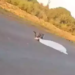 Motociclista morre na manhã desta quinta no Indubrasil em acidente com carreta e caminhão