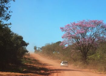 Com tempo estável, terça-feira tem previsão de sol e baixa umidade relativa do ar