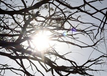 Temperaturas acima da média e tempo seco são destaques na previsão desta terça-feira