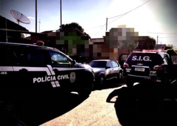Homem é preso por agredir cachorro a golpes de madeira em MS