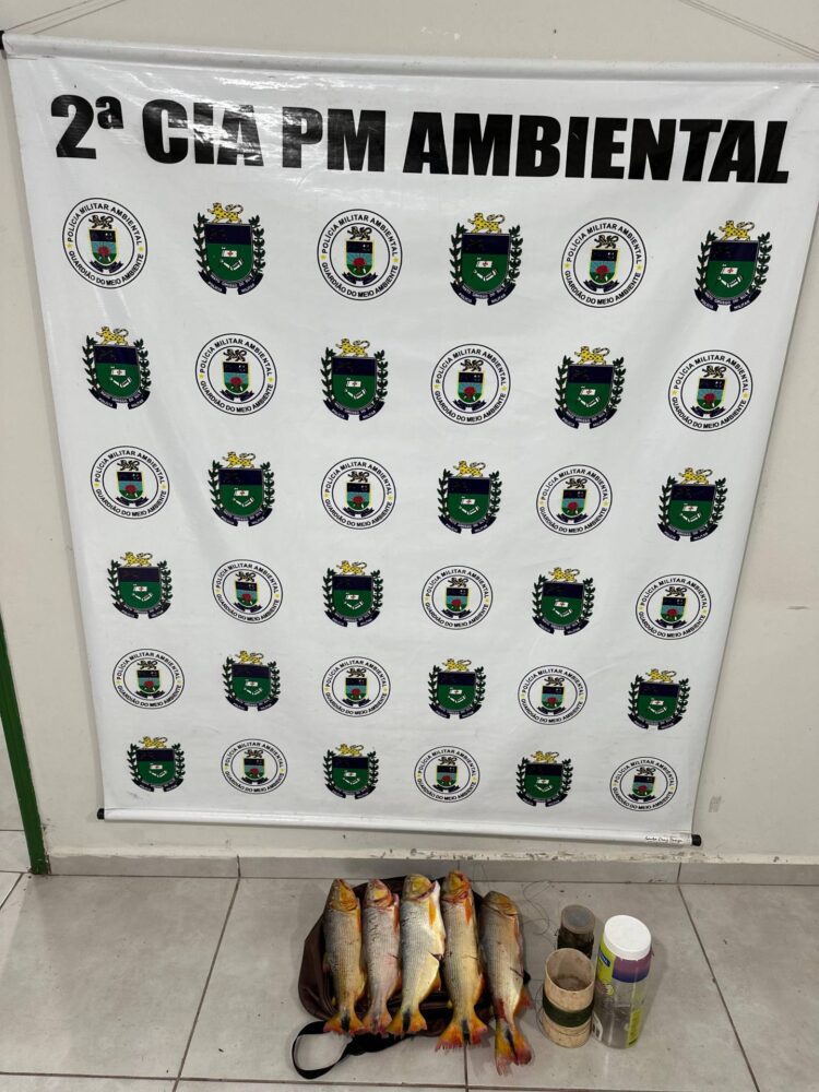 PMA de Corumbá prende indivíduo por pescar Dourado