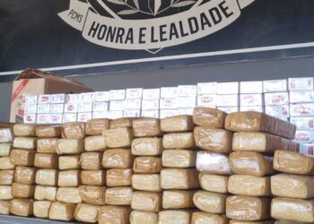 Dois são presos com 82 tabletes de maconha e 460 pacotes de cigarros paraguaios, no Pioneiros