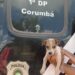 Polícia resgata animais em situação de maus-tratos, em Corumbá, durante operação