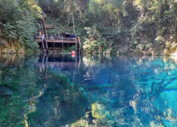 Grupo Rio da Prata soma mais de 600 hectares em áreas de Reservas Particulares do Patrimônio Natural