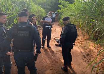 Homem é encontrado morto com perda de massa encefálica, em estrada de Três Lagoas
