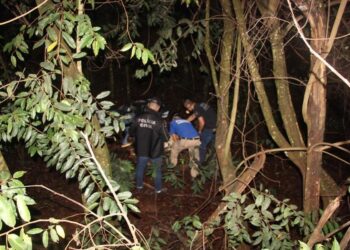 Corpo em avançado estado de decomposição é encontrado em mata perto da BR-267
