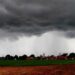 Edital inédito vai destinar R$ 6 mi para pesquisas sobre mudanças climáticas em MS