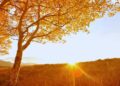 Temperaturas amenas e baixa temporada fazem do outono estação ideal para viagens