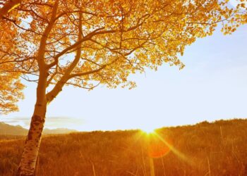 Temperaturas amenas e baixa temporada fazem do outono estação ideal para viagens