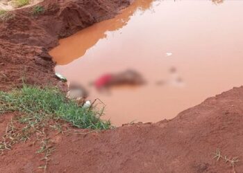 Corpo de homem é encontrado em lamaçal de terreno, em Ribas do Rio Pardo