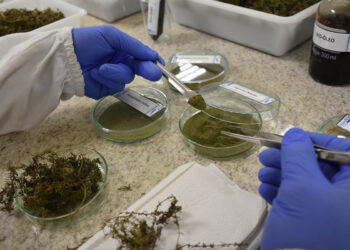 ISI Biomassa, UFRJ e ExxonMobil Brasil desenvolvem nova rota tecnológica para produção de biocombustível