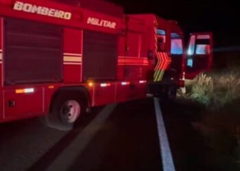 Empresário colide com anta, capota veículo e morre na BR-060, em MS