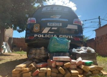 GOI aprende diversos tijolos de maconha em casa de foragido, em Campo Grande
