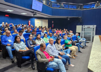 UCV-MS debate direitos das crianças e adolescentes com vereadores do Estado