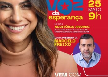 Plenária reúne lideranças para construir Programa de Governo de Camila Jara