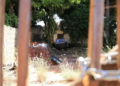 Corpo de mulher é encontrado dentro de veículo em quintal de casa abandonada