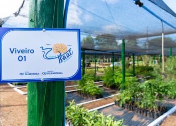 Novo sistema dispensa papel, agiliza doações e permite monitoramento de mudas do Viveiro Isaac de Oliveira
