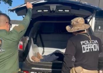 Polícia prende um dos assassinos do indígena Marcelo Montania, em Coronel Sapucaia