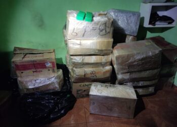 Denar apreende 800 kg de maconha em depósito de drogas no Aero Rancho