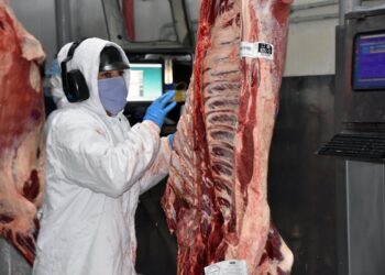 Exportação de industrializados de MS em abril atinge US$ 492 milhões