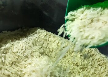 Governo Federal libera mais R$ 6,7 bi para garantir arroz a preço justo aos brasileiros