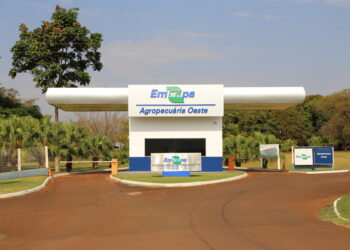 Diversificação da matriz econômica de MS: Oportunidades e desafios para as instituições de pesquisa