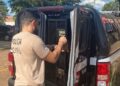 Menor de 17 anos é apreendido por sequestrar bebê de 3 meses pela segunda vez