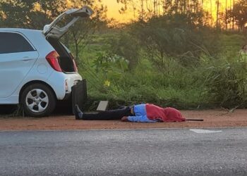 Motorista sai da pista colide em poste onde estavam abelhas, é atacado e desmaia