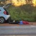 Motorista sai da pista colide em poste onde estavam abelhas, é atacado e desmaia