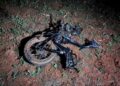 Motociclista morre ao colidir de frente com caminhonete e ter corpo arremessado, na BR-376