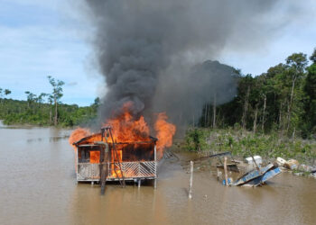 Ação do Governo Federal destrói 5 acampamentos de garimpeiros e um helicóptero na Terra Yanomami
