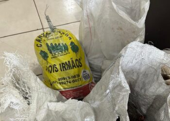 Traficante usava “comércio” como fachada perto do Camelódromo pra vender drogas