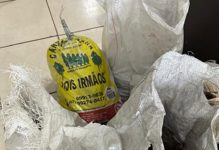 Traficante usava “comércio” como fachada perto do Camelódromo pra vender drogas