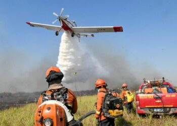 Governo de MS declara situação de emergência em cidades afetadas por incêndios florestais