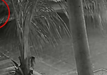 Homem de 48 anos morre atropelado enquanto atravessava rua no Anache
