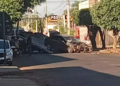 PM é arremessado para fora de Honda Civic, após colidir contra duas árvores